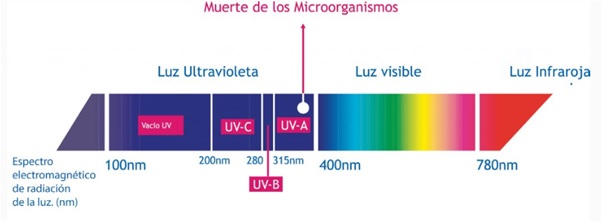 elimina virus covid-19